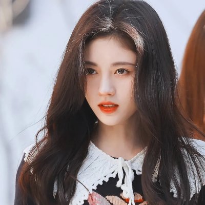 大象家族