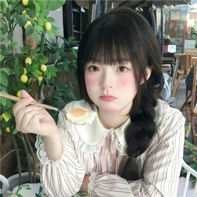 光荣之路上的狗
